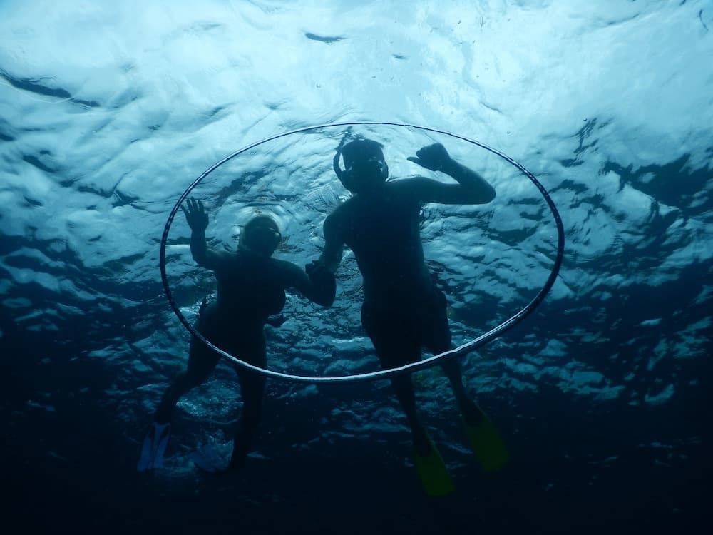 Equa Reef Maldives - View 34