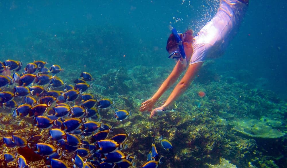 Equa Reef Maldives - View 90
