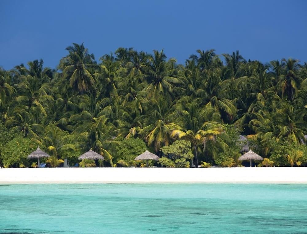 Filitheyo Island Resort - View 59