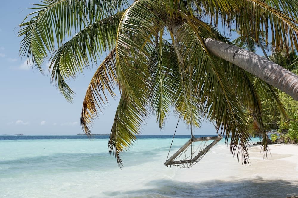 Biyadhoo Island Resort - View 49