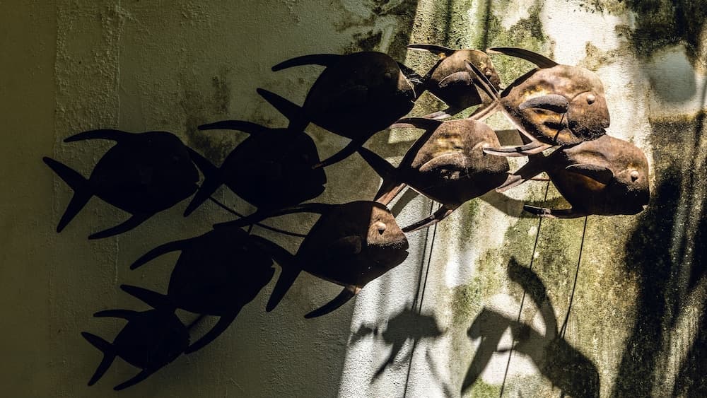 Mi Lugar Retreat and Spa - View 26