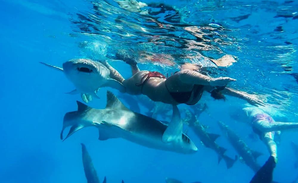 Adroit Beach Inn - View 58