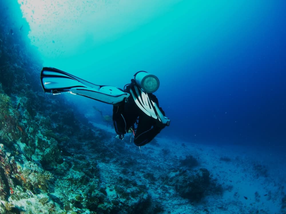 Adroit Beach Inn - View 201