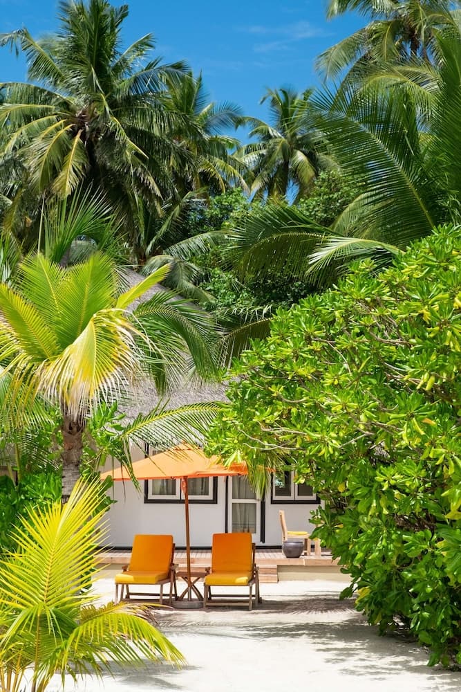Angsana Velavaru - View 84