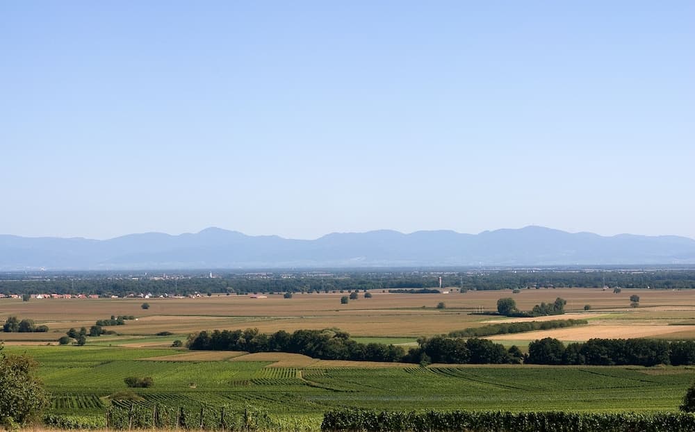 Banana Residence - View 29