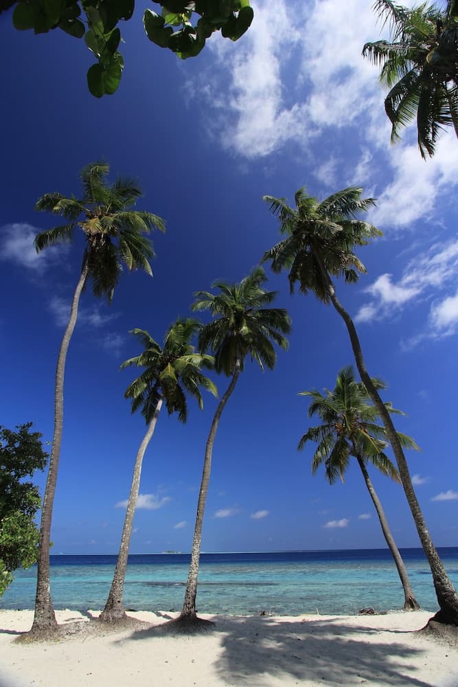 Local Island Inn - View 19