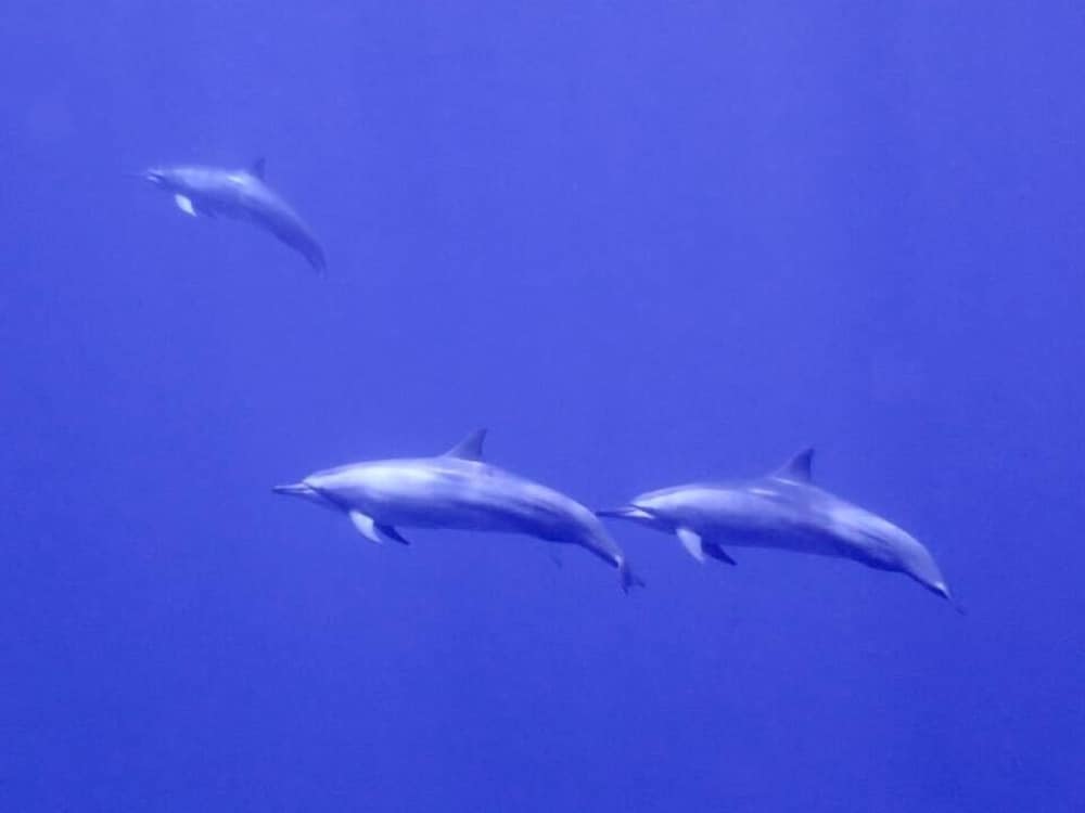 Rasdhoo Holiday Home - View 71