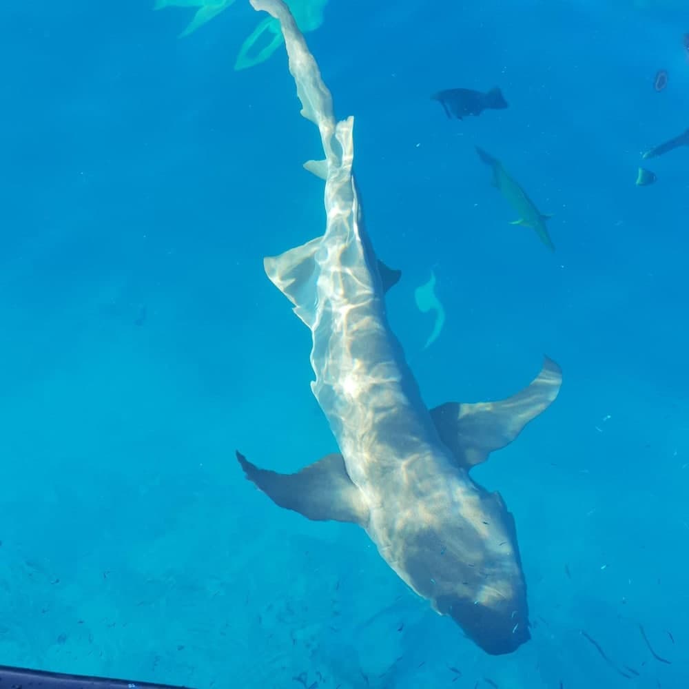 Thundi Sea View - View 19