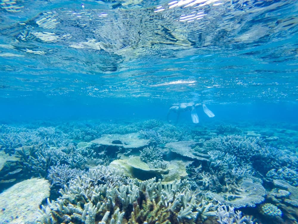 Starry Night At Ukulhas - View 28