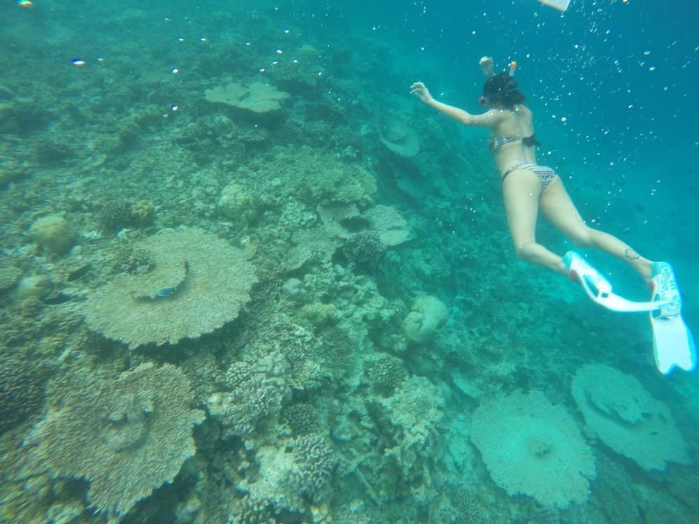 Rasdhoo Coralville - View 5