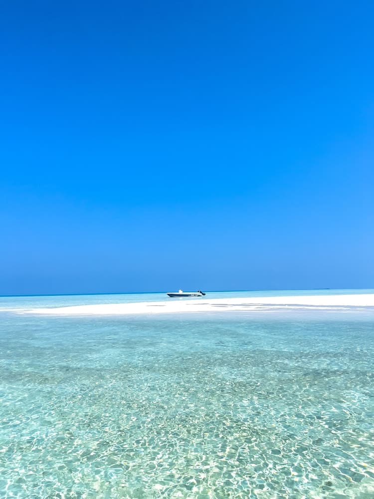 Hide Inn Blue - View 17