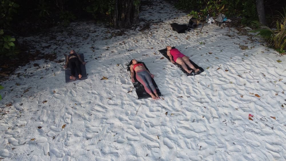 Stay Mikado - View 43