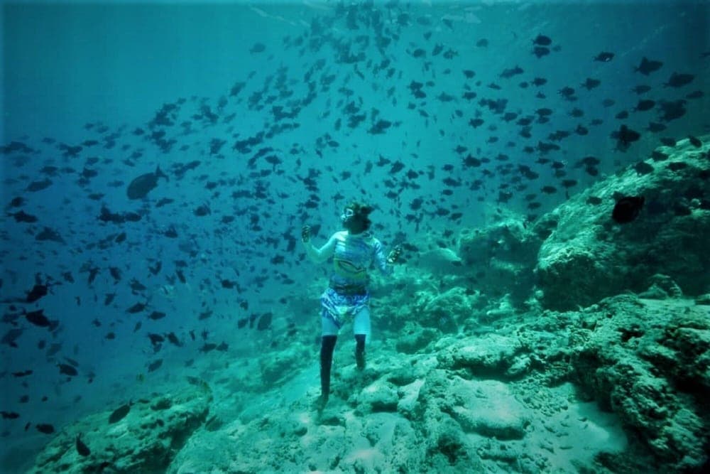 Explore Island Inn - View 14