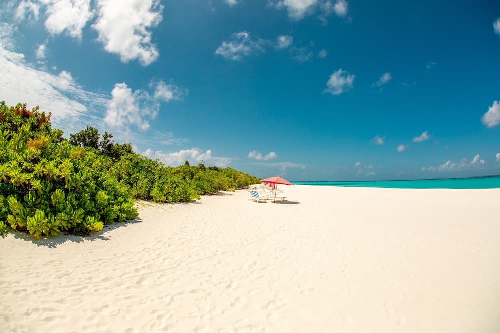 Hondaafushi Island Resort - View 76