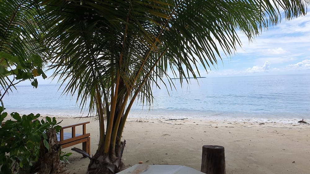 Ocean Beach Maldives - View 42