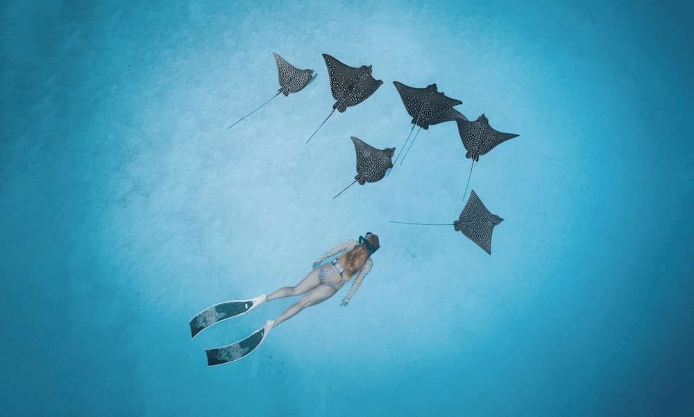 Radisson Blu Resort Maldives - View 178