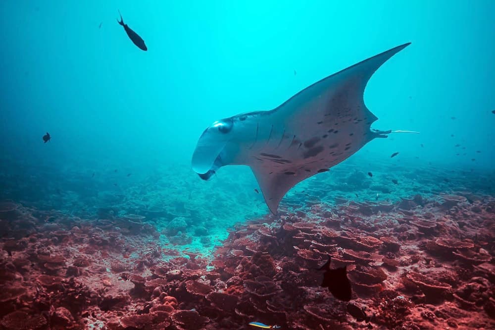 Endheri Sunset - View 36