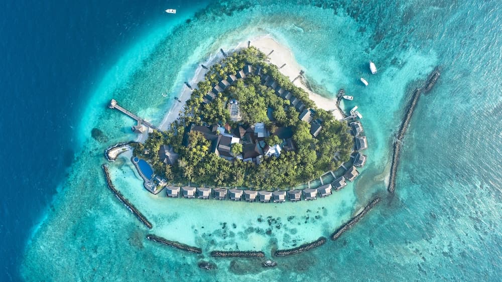 Taj Coral Reef Resort & Spa Maldives – A Premium All Inclusive Resort - View 203