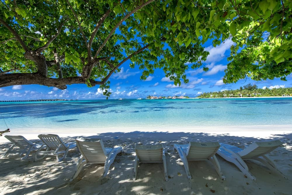 Ithaa Beach Maldives - View 85