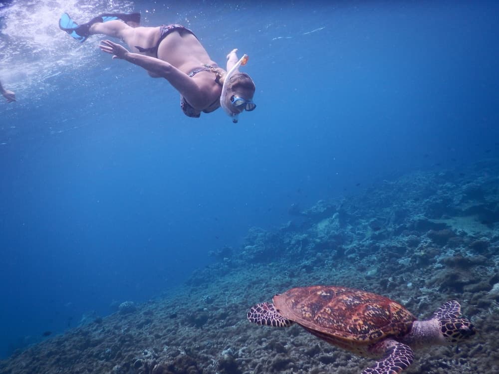 Equa Reef Maldives - View 36