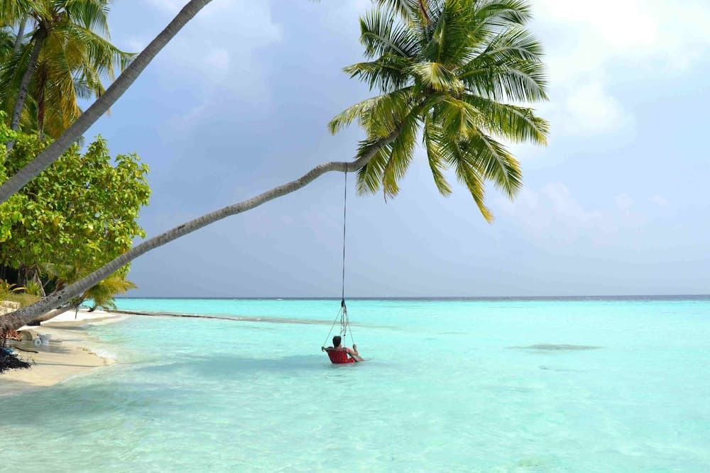 Hanifaru Stay - View 20