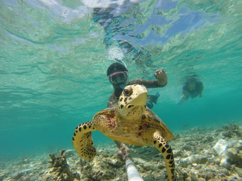 Noovilu Suites Maldives - View 26