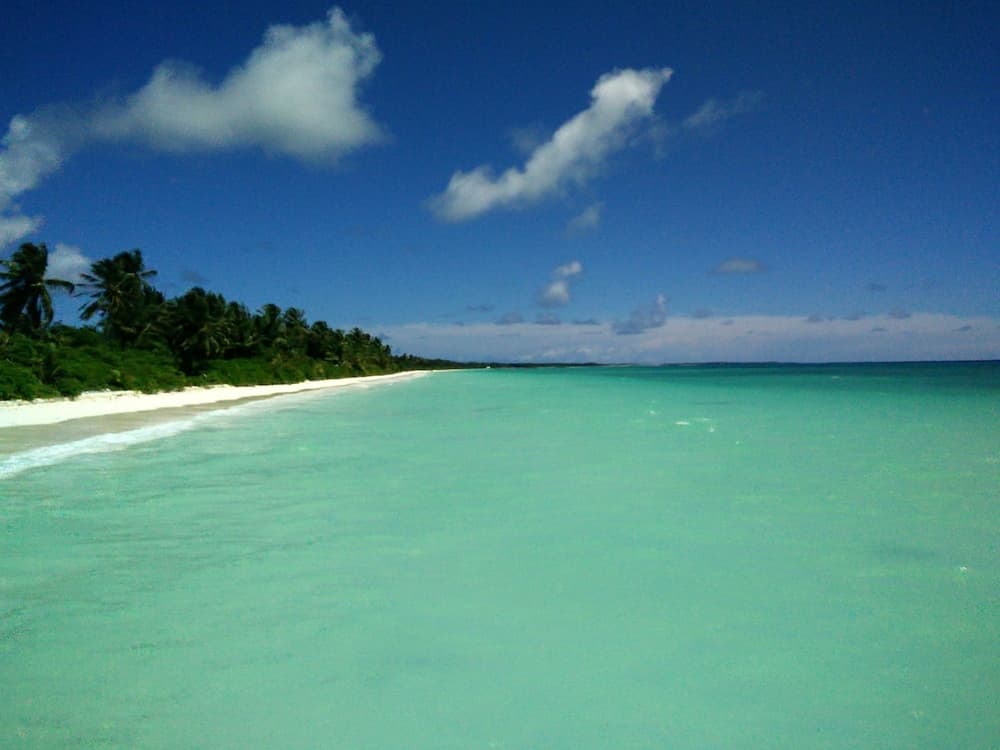 Evexia Beach Collection - A Premium Wellness Retreat - View 52