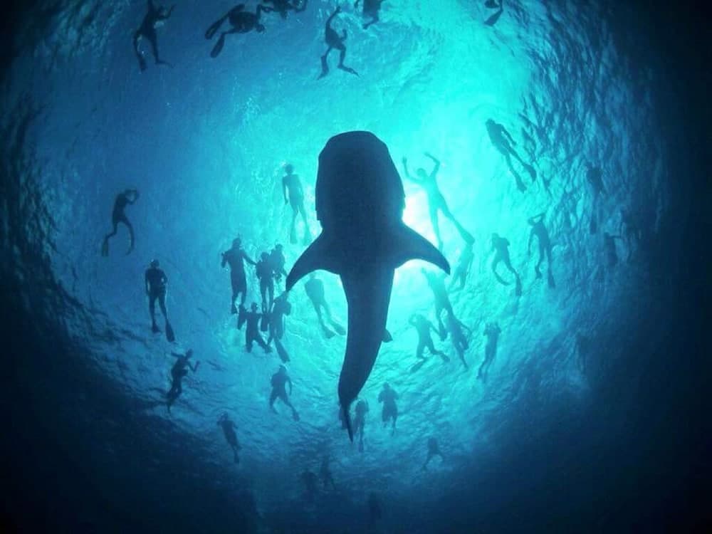 Mala Maldives Dhangethi - View 26