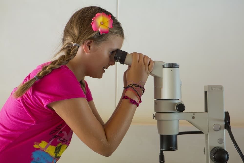 Kuramathi Maldives - View 120