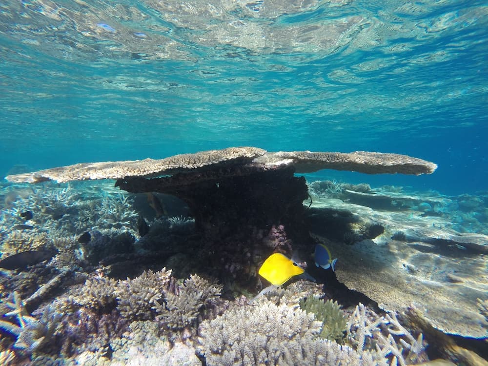 Mathiveri Inn - View 7