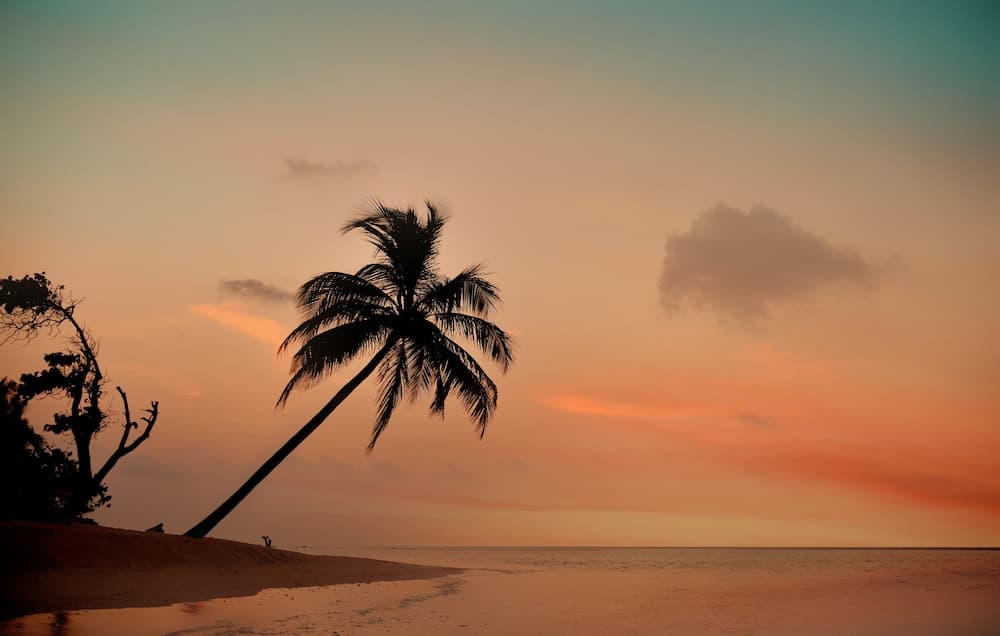 The Castaway Retreat - View 20