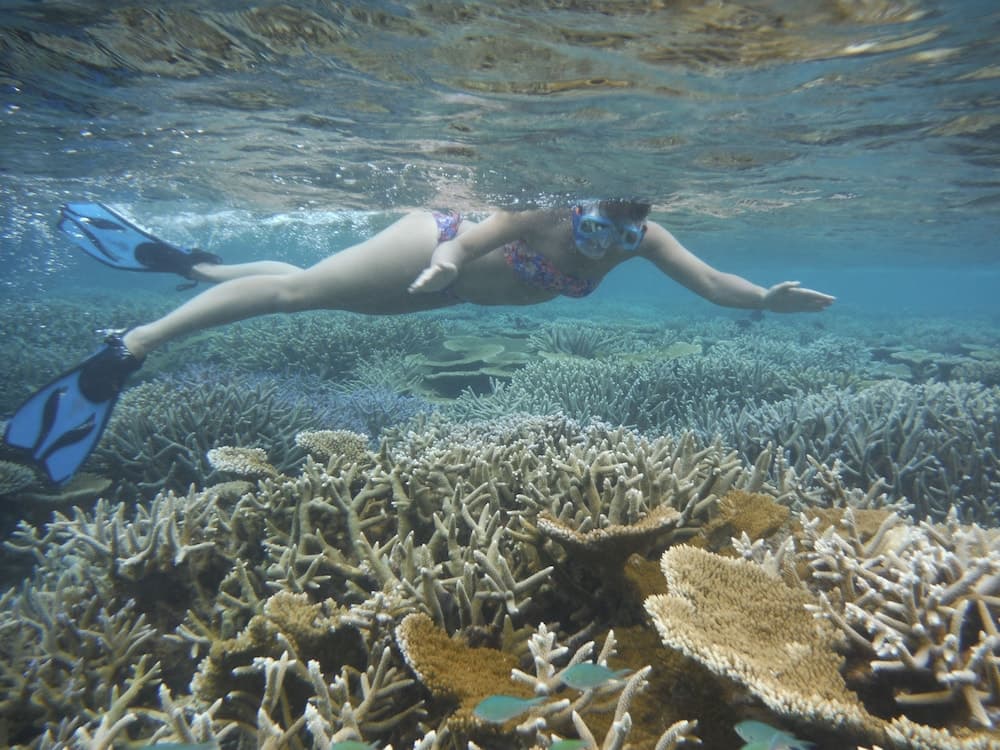 Paguro Beach Inn - View 53