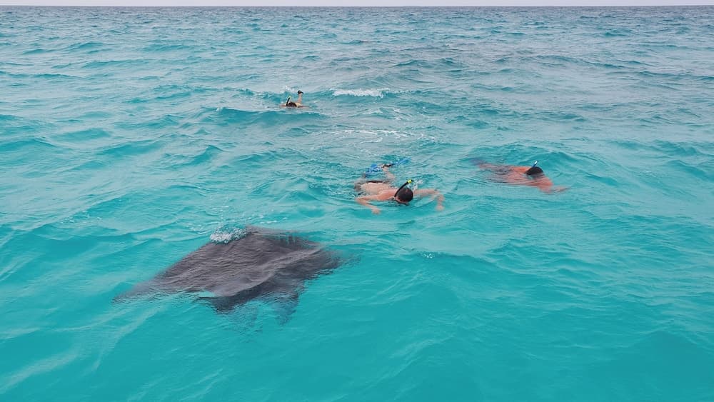 Ganduvaru Villa - View 103