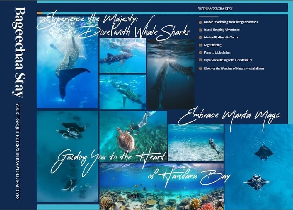 BAGEECHAA STAY - View 16