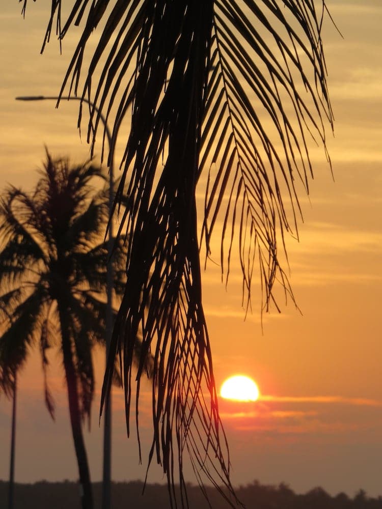 Smera Grand - View 18