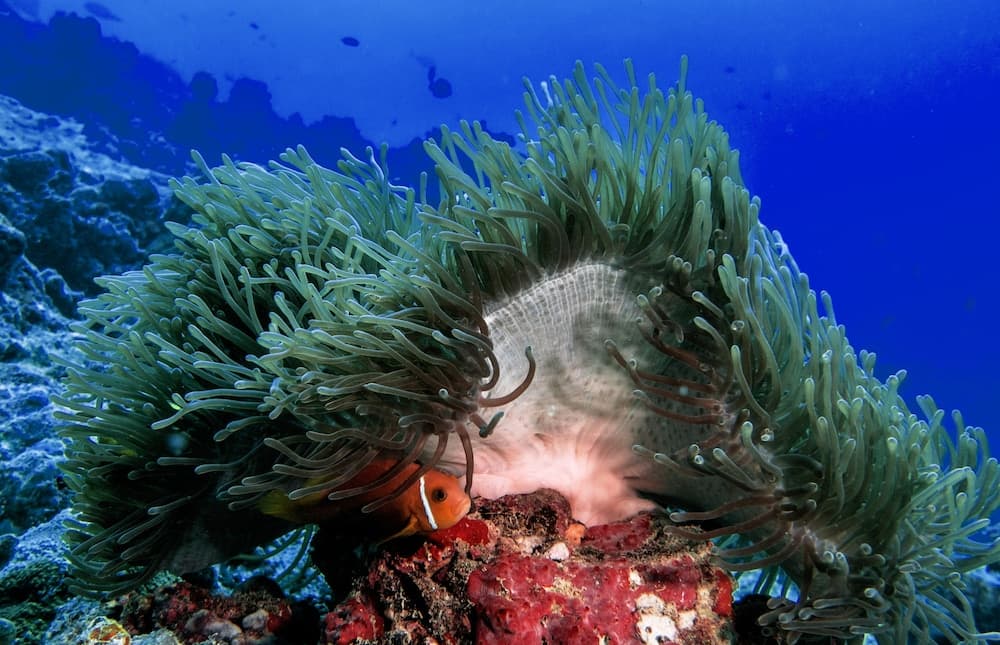 Global Residence - View 25