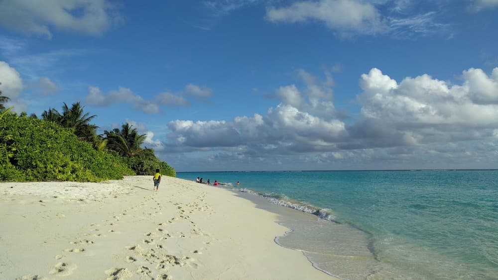 Avi Guesthouse - View 8
