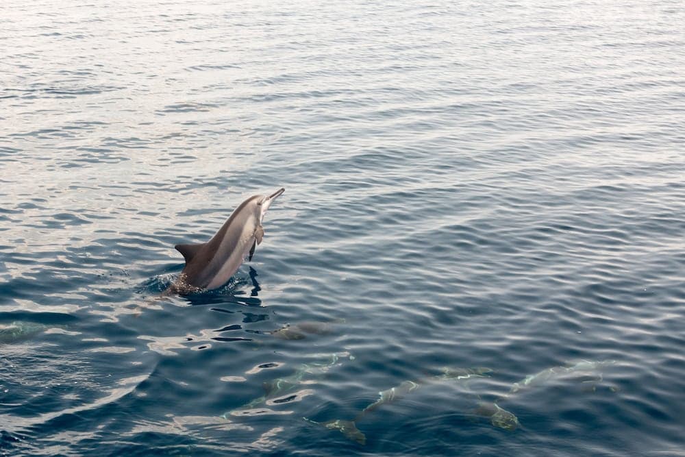 Equator Village - View 27