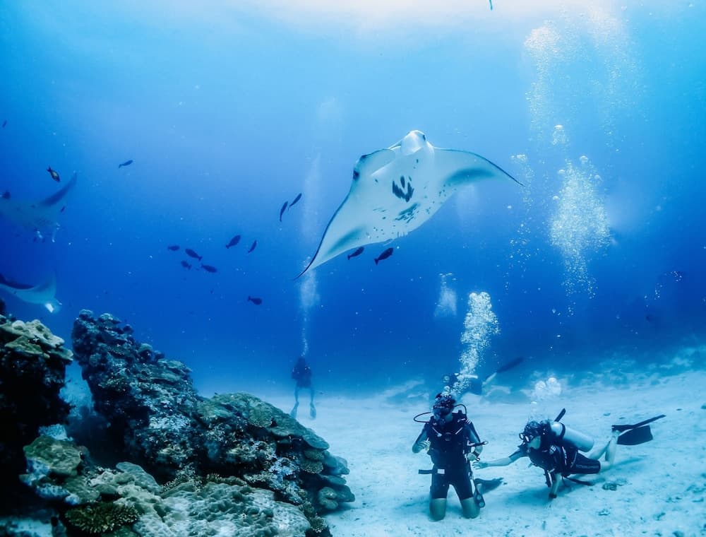 Bliss Dhigurah - View 40