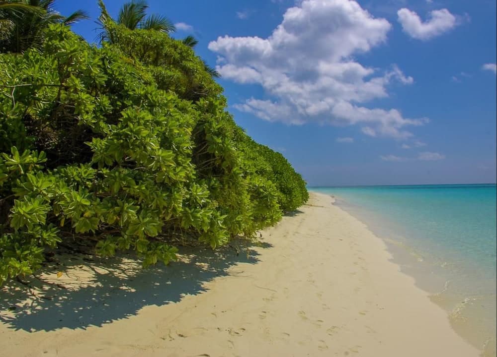 Thoddoo Retreat - View 6