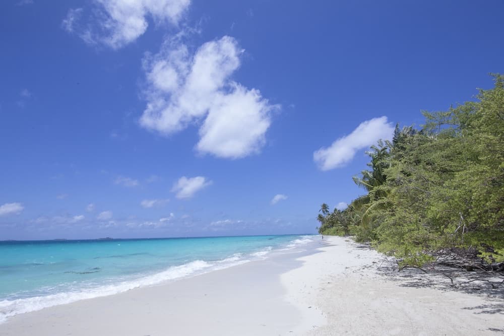 Dhigurah Retreat Beach - View 37