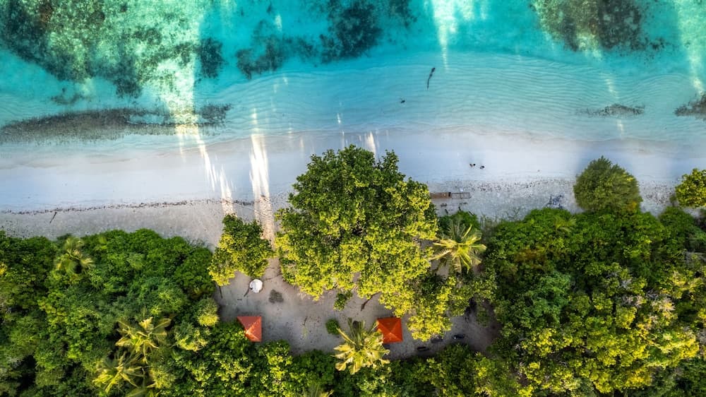 Whaleshark Beach - View 9