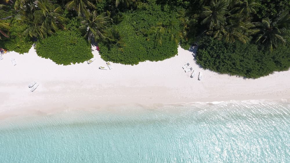 Biyadhoo Island Resort - View 55