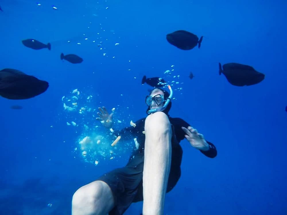 Adroit Beach Inn - View 115