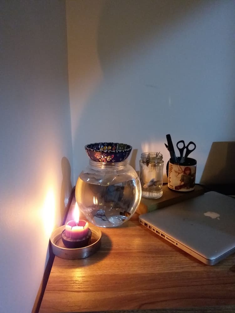 Amber Terrace lot.11125 R-1509 - View 21