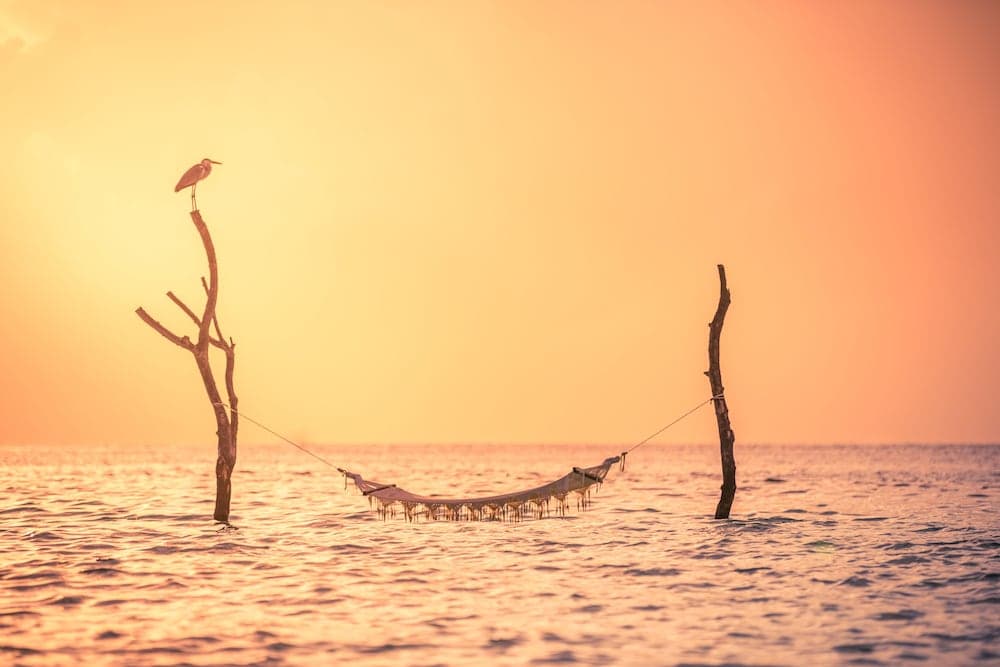 Sun Siyam Vilu Reef - All Inclusive - View 101