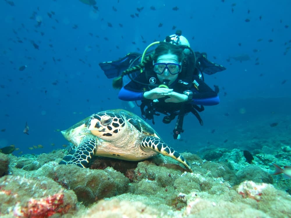 Vaali Maldives Island Escapes & Dive - View 25