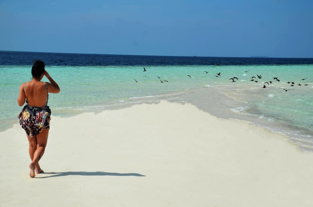 Adroit Beach Inn - View 128