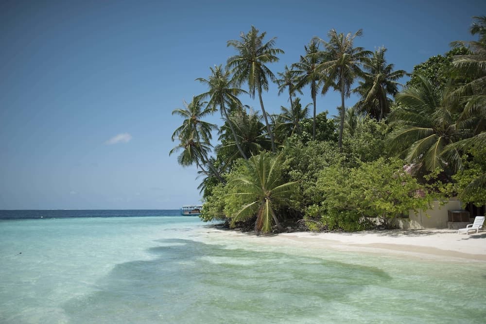 Biyadhoo Island Resort - View 16