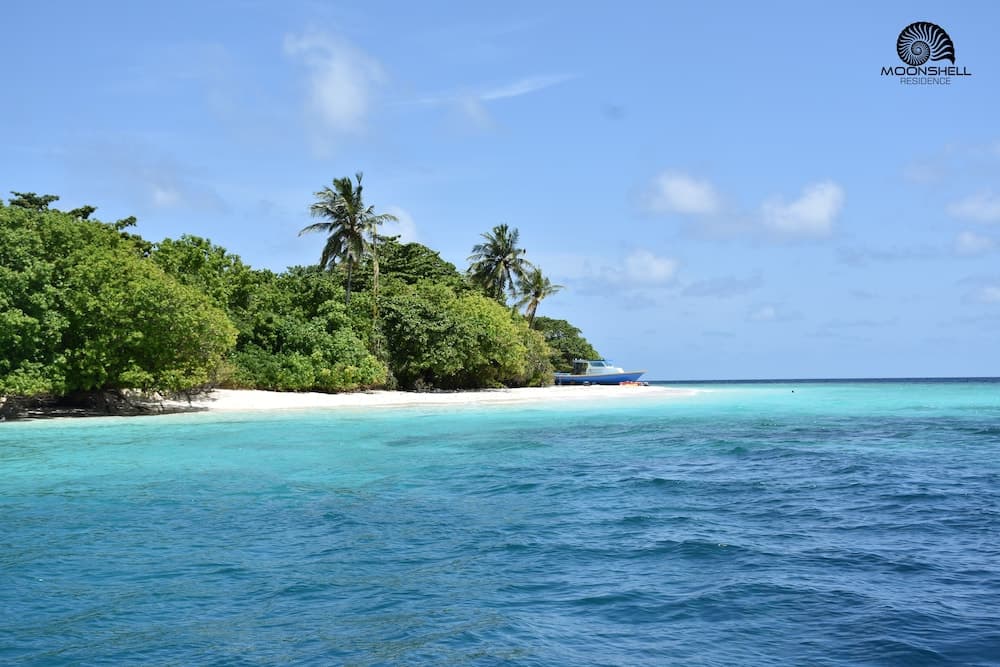 Moonshell Residence - View 15